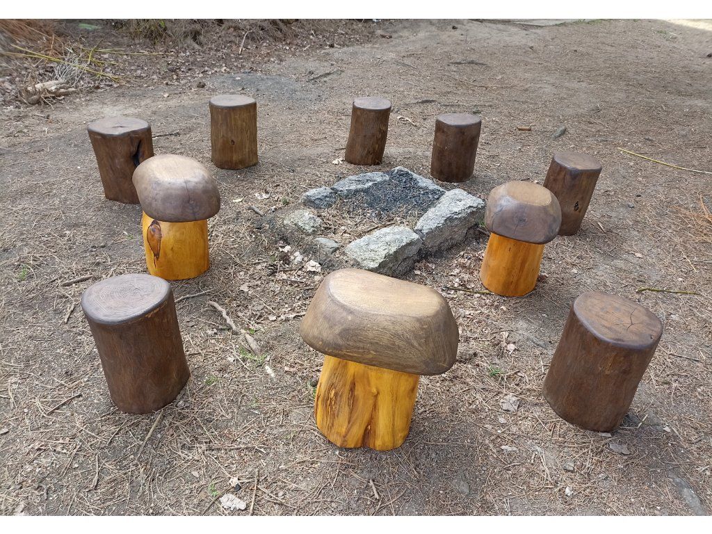 Detail akátového špalku struktura