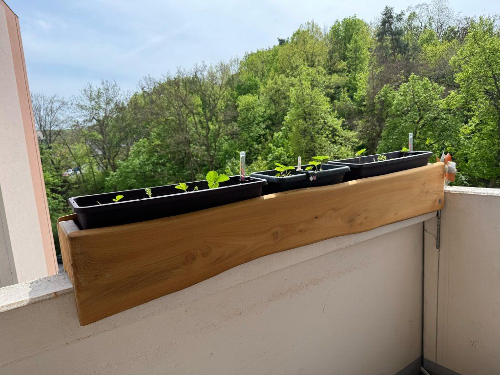 Akátový balkonový květináč