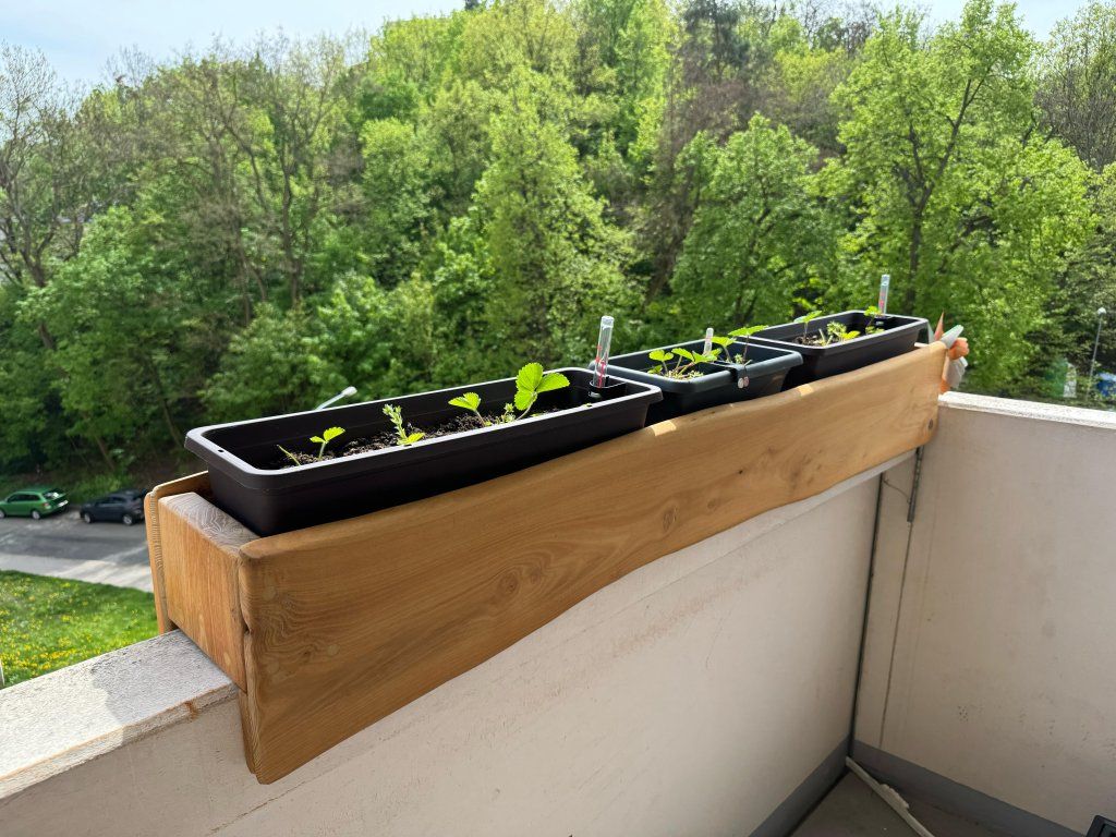 Akátový květináč balkon použití