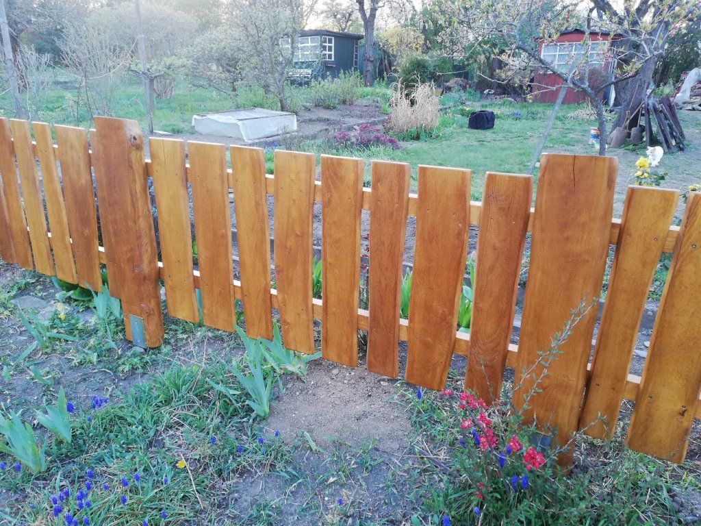 Akátová plotovka přírodní masiv