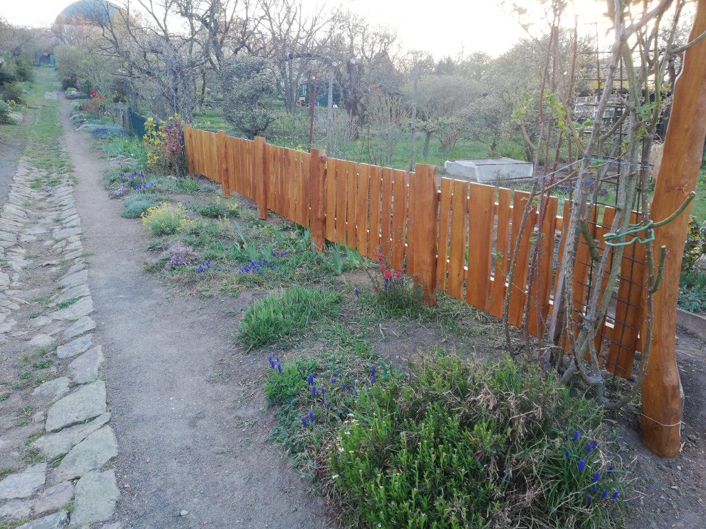 Akátová plotovka použití plot zahrada